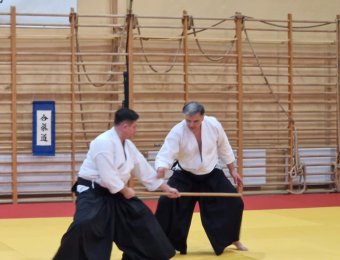 Jo dori - reakcja na atak