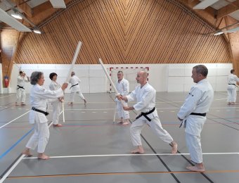 Kenjutsu - Kumi tachi seigan