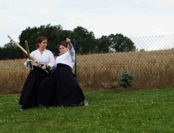 Kenjutsu - Tsubazeri taoshi