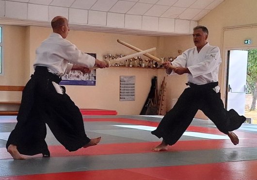 Kenjutsu - kassen dachi