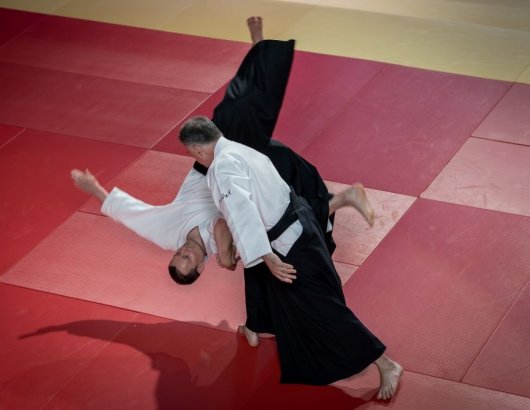 Shiho nage