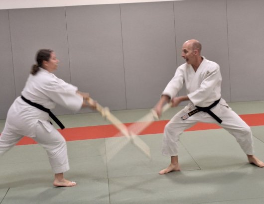 Kenjutsu - do tachi zuke
