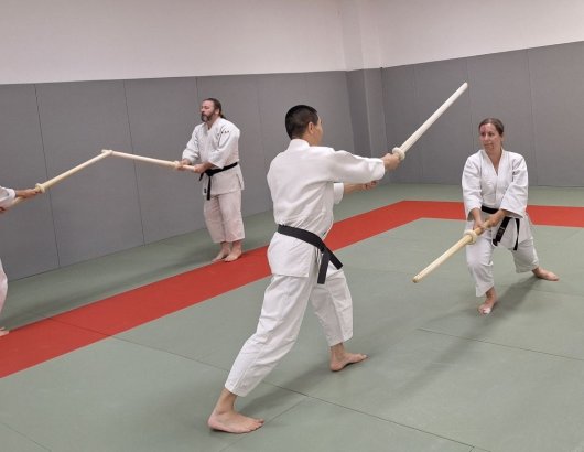 Kenjutsu - enbi ken