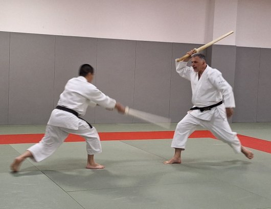 Kenjutsu - kesa giri sode suri