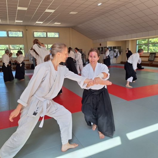 Shiho nage Shiho nage