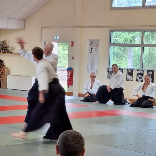 Irimi nage Irimi nage