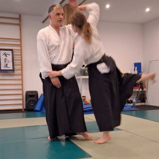 Irimi nage Irimi nage