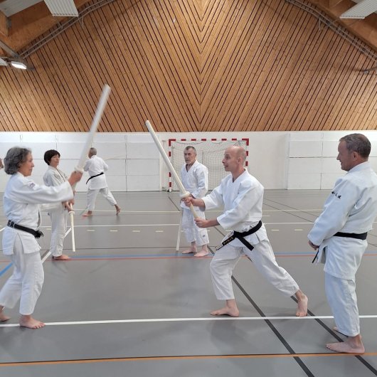 Kenjutsu - Kumi tachi seigan Kenjutsu - Kumi tachi seigan