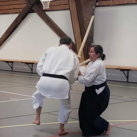 Kenjutsu - Sente tsukadaoshi Kenjutsu - Sente tsukadaoshi