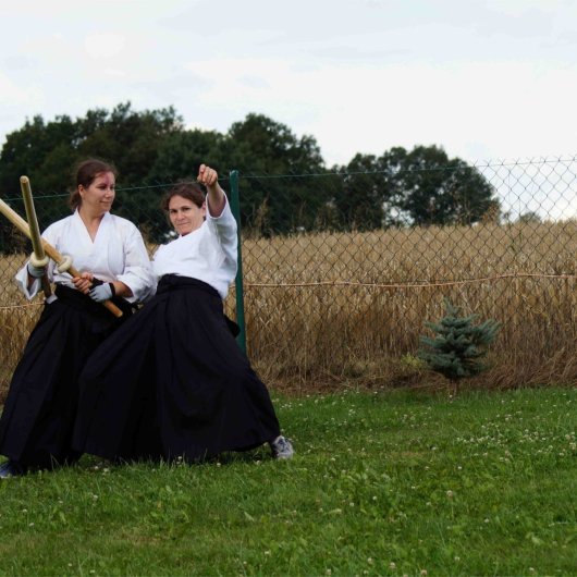 Kenjutsu - Tsubazeri taoshi Kenjutsu - Tsubazeri taoshi