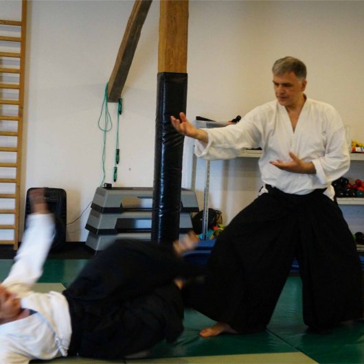 Sokumen irimi nage Sokumen irimi nage