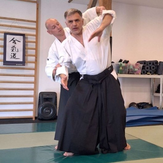 Ushiro ryo hiji dori Ushiro ryo hiji dori